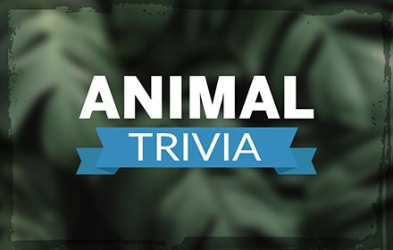 Animal Trivia HD