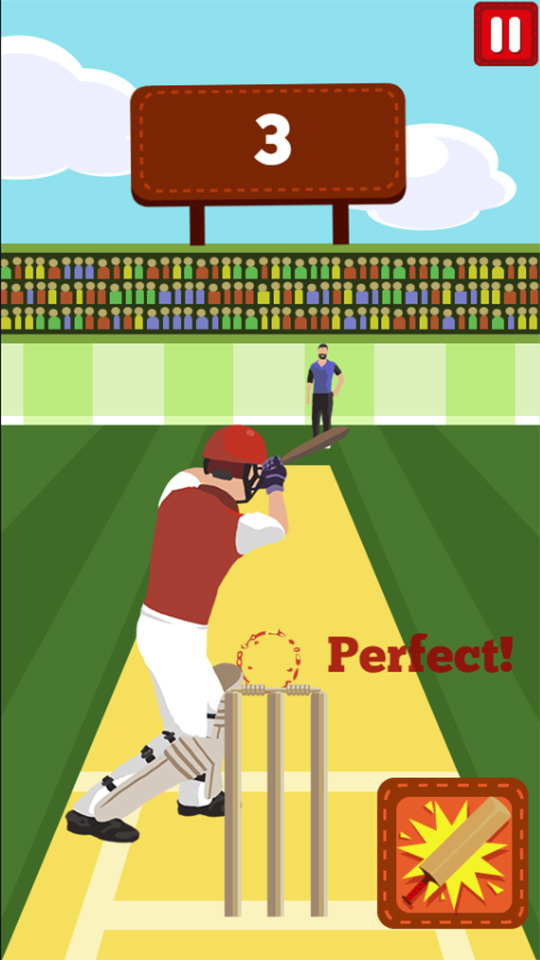 Pro Cricket Champion